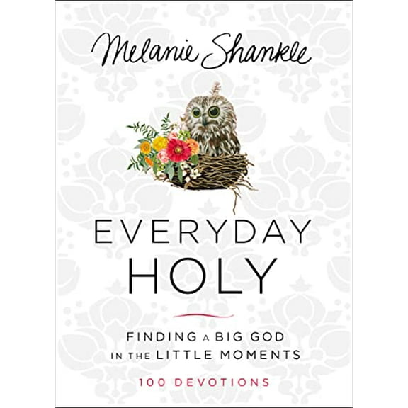 Pre-Owned Everyday Holy: Finding a Big God in the Little Moments (Hardcover) 0310346681 9780310346685