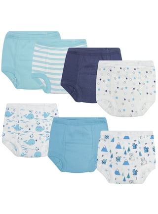 Hanes Toddler Boy Potty Trainer Brief Underwear, 6 Pack, Sizes 2T