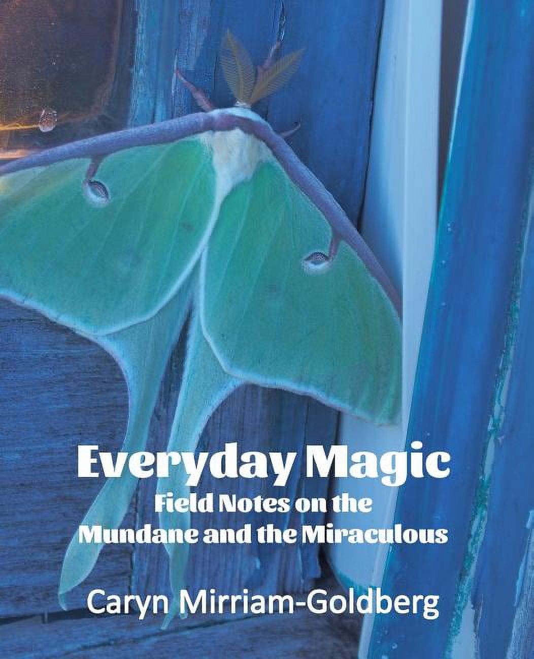 Everyday Magic: Field Notes on the Mundane and the Miraculous (Paperback) by Caryn Mirriam-Goldberg