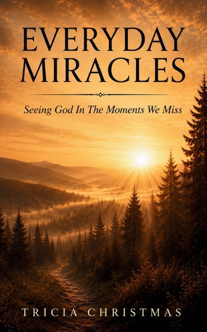 Everyday Miracles: Seeing God In The Moments We Miss, (Paperback)