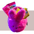 thumbnail image 1 of Everyday Necessiteez Easter Pink Peep Bunny Plush Gift Basket with Bubble Sticks Chicks Marshmallow Gummies Candy & Reusable Pink Bunny Head Bucket Spring Party Favors (Contents Vary), 1 of 7