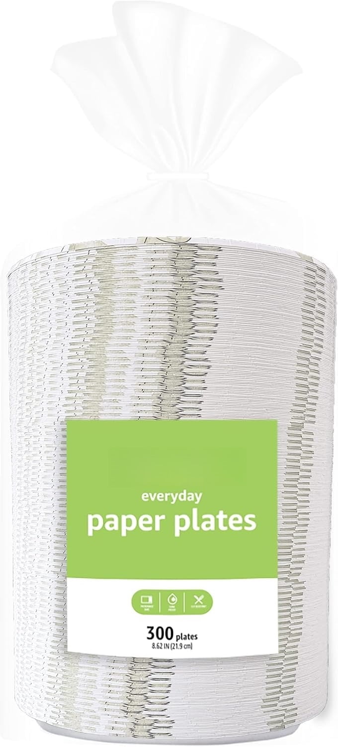 Everyday Paper Plates 8.62 Inch Disposable 100 Count Eco Friendly Sturdy for Parties Picnics