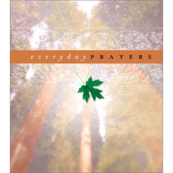 Pre-Owned Everyday Prayers (Hardcover) 1586609297 9781586609290