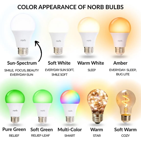 Everyday Sun Light Bulb - Full Spectrum Wellness Lighting, Sunlight-Mimicking Technology for Energy, Mood & Performance. Supports Sleep/Wake Cycles, 5000K, 9W, US Based, Budget-Priced (2-Pack)