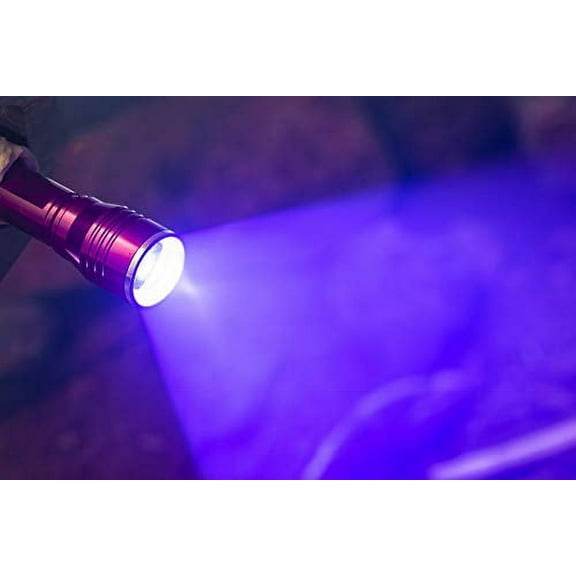 Everyday Survivor Black Light/White LED Headlamp and Black Light Flashlight - ES-UV395-2