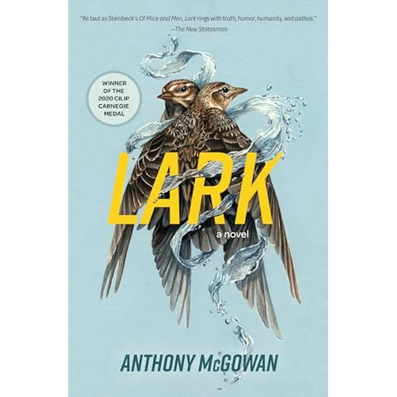 Pre-Owned Lark (Paperback) 1454954787 9781454954781