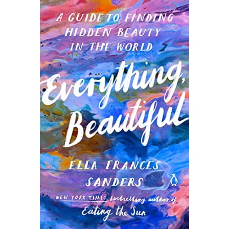 Pre-Owned Everything, Beautiful: A Guide to Finding Hidden Beauty in the World (Paperback) 0143137069 9780143137061