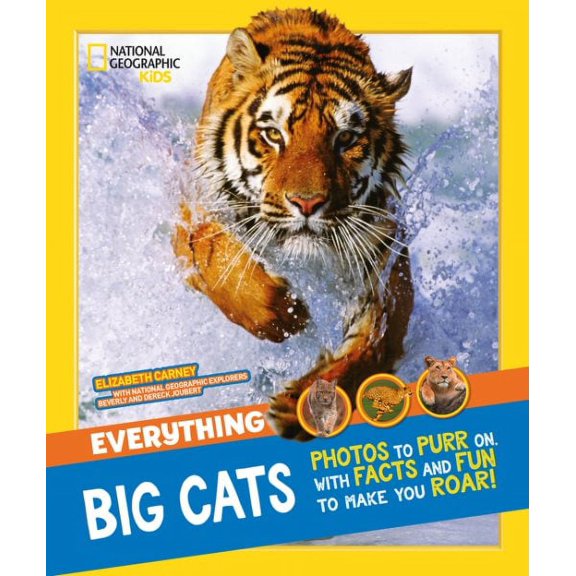 Everything: Big Cats
