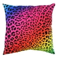 thumbnail image 1 of Everything Comfy Leopard Print Decorative Throw Pillow, 16x16 Inch, Rainbow Gradient/Black,, 1 of 4