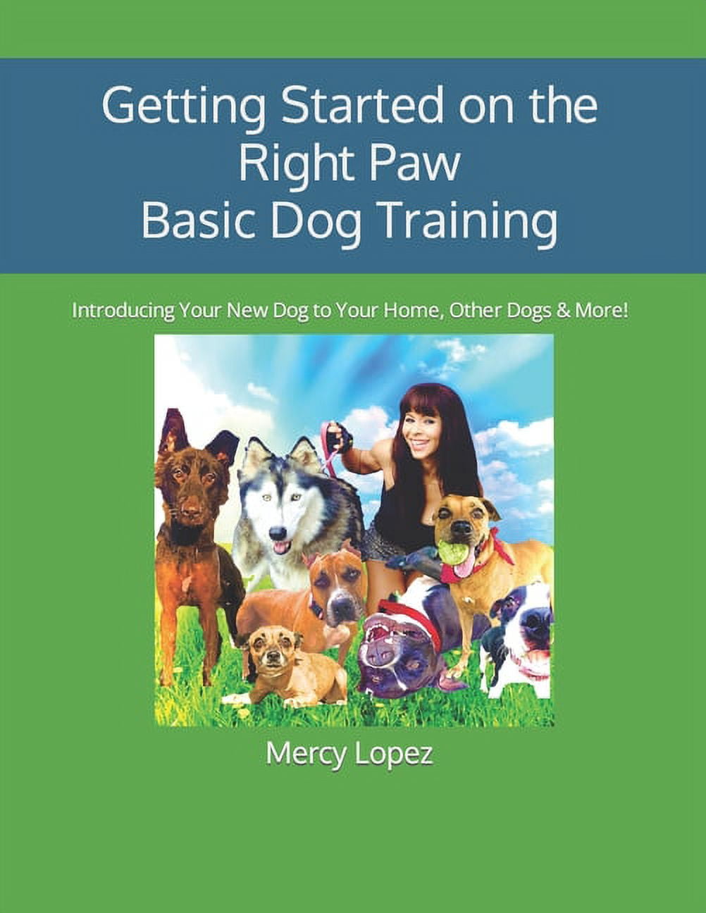 Everything Dogs: Getting Started on the Right Paw Basic Dog