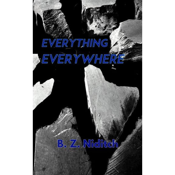 Everything, Everywhere (Paperback)