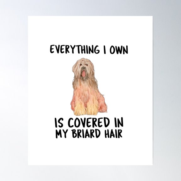 Everything I Own Is Covered In My Briard Hair Poster Wall Art, Modern Wall Decor, 24x36 UNFRAMED