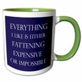 thumbnail image 1 of Everything I like is either fattening expensive  Navy and white 11oz Two-Tone Green Mug mug-211770-7, 1 of 3