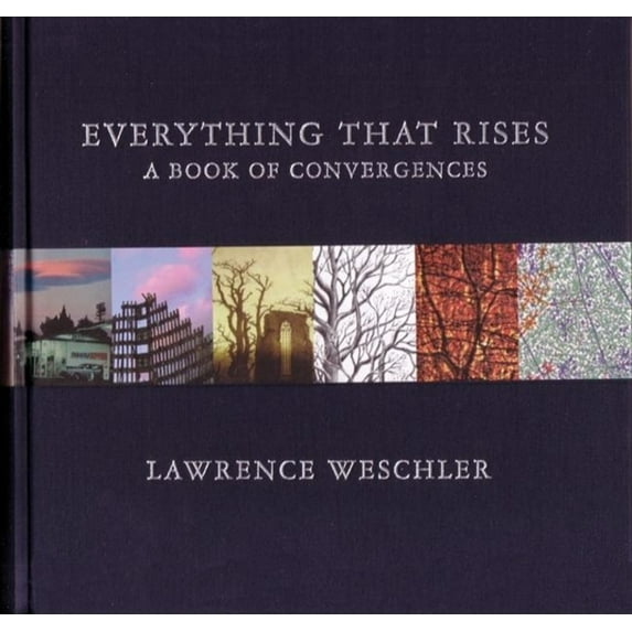 Everything That Rises : A Book of Convergences (Hardcover)