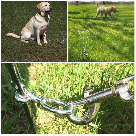 Everything You Need | Katzco Chrome Dog Stake With Leash Lead - Red 25 Foot | 1