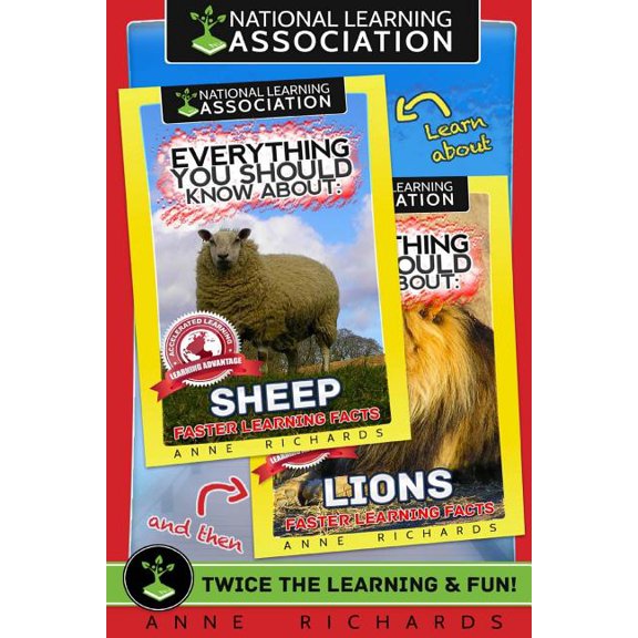 Everything You Should Know About : Lions and Sheep (Paperback)