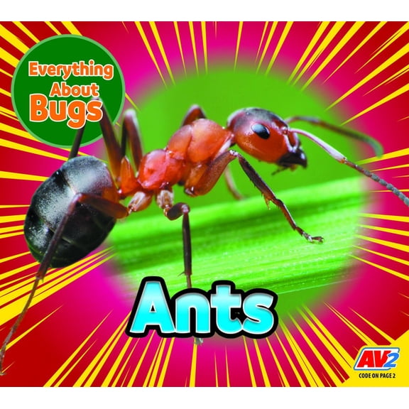 Everything about Bugs Ants, (Hardcover)