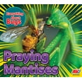 thumbnail image 1 of Everything about Bugs: Praying Mantises (Paperback), 1 of 1
