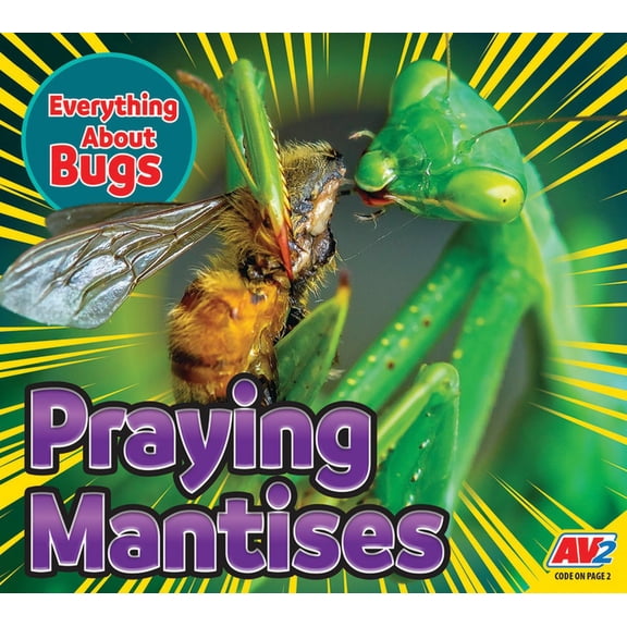 Everything about Bugs: Praying Mantises (Paperback)