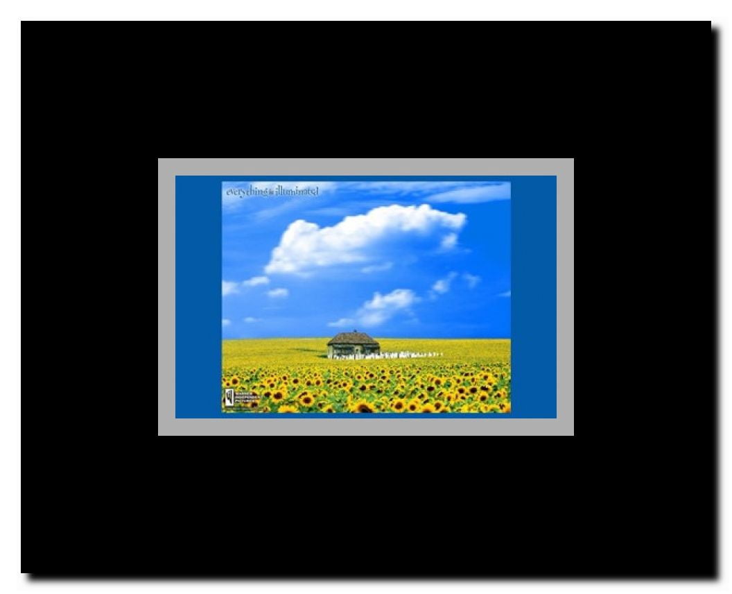 Everything is Illuminated Framed Movie Poster