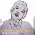 thumbnail image 1 of EverythingButTheGirl – Temperamental / Virgin Audio CD 1999 / 724384789626, 1 of 3