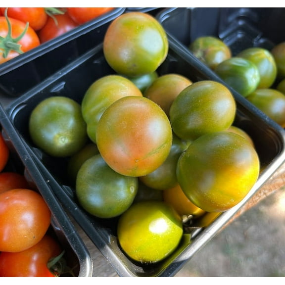 Evil Olive Green Grape Tomato Premium Seed Packet