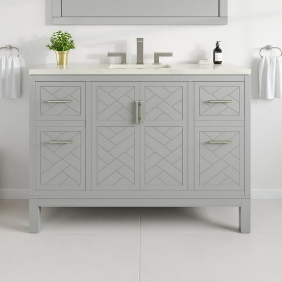 Eviva Cambridge 48 in. Gray Single Sink Bath Vanity with Bianco Bella Quartz Top and Undermount Porcelain Sink