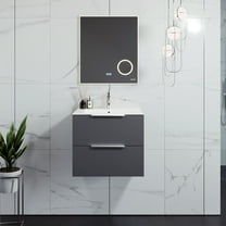 Eviva Galsaky 24" Grey Modern Bathroom Vanity Wall Mount with White Integrated Porcelain Sink