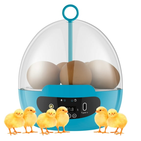 Evjurcn Egg Incubator for Hatching 6 Eggs Chicken Incubator with 360° Auto Egg Turning and Temperature Control Practical Incubator with LED Egg Light for Hatching Chicks Quails Ducks