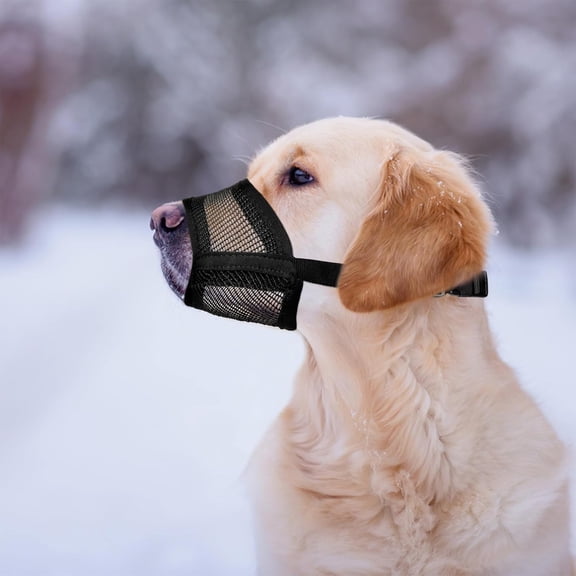 Evollax Large Dog Muzzle, Breathable Air Mesh Dog Muzzle, Adjustable Anti Bite No Bark Muzzle for Chewing & Licking