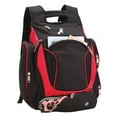 thumbnail image 1 of Evolution Tsa Compu / Tablet Backpack, 1 of 4