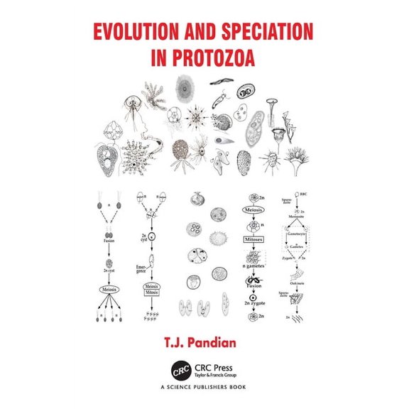 Evolution and Speciation in Protozoa, (Hardcover)