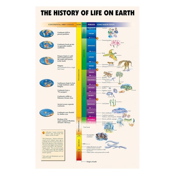 Evolution of Life Geological Time Scale Canvas Print Vintage Science Poster Educational Earth History Wall Art for Study Room Library Decor