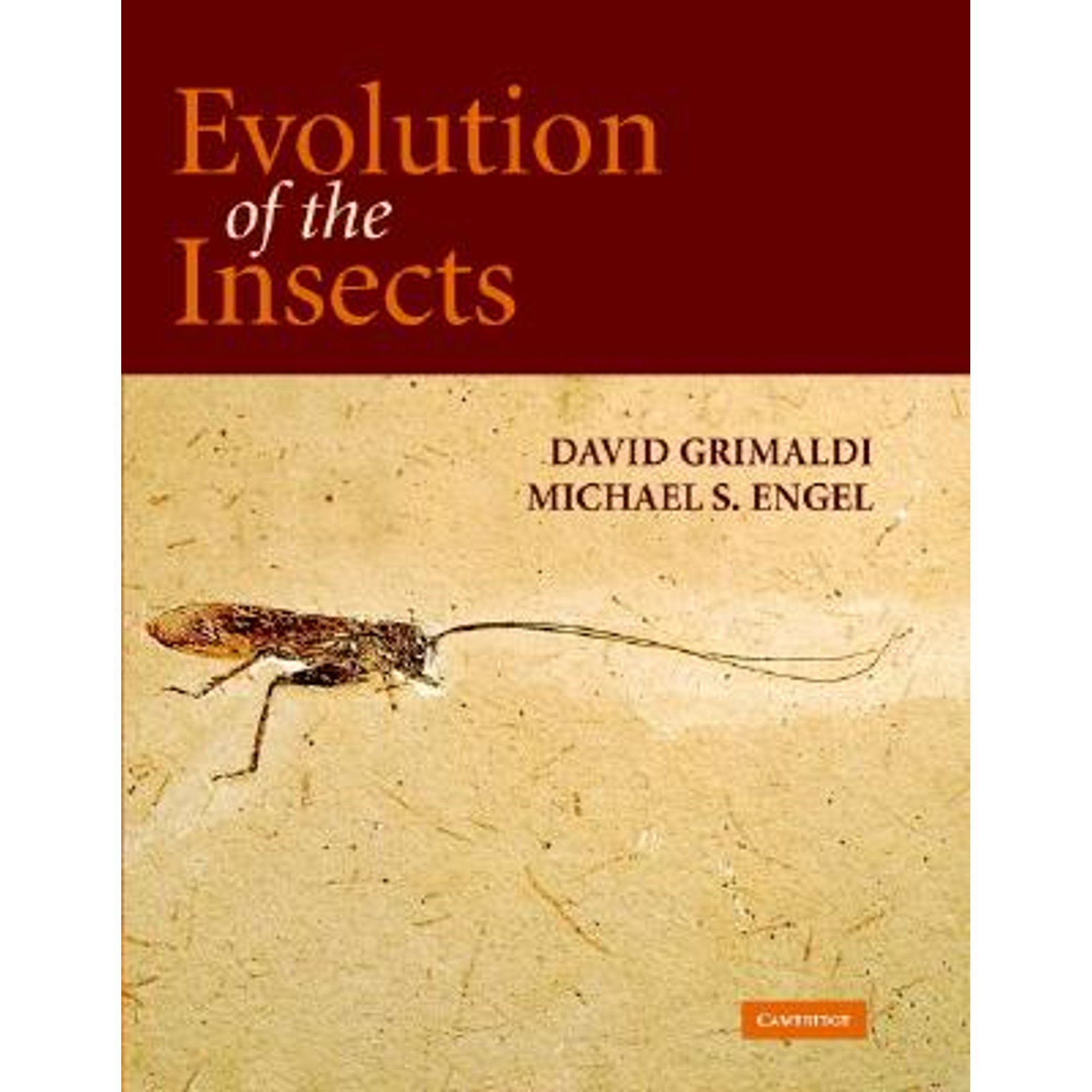 Michael Cook Insect Pre-Owned Evolution of the Insects (Cambridge Evolution Series ...