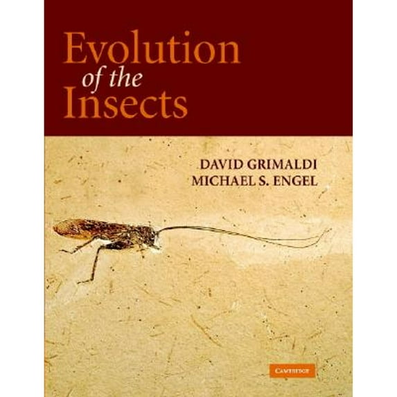 Pre-Owned Evolution of the Insects (Cambridge Evolution Series) (Hardcover) 0521821495 9780521821490