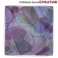 thumbnail image 1 of Evolution, 1 of 1