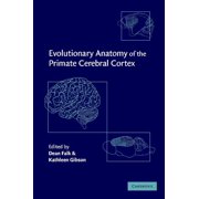 Evolutionary Anatomy of the Primate Cerebral Cortex, Hardcover