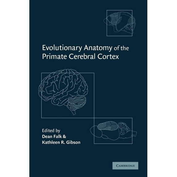 Evolutionary Anatomy of the Primate Cerebral Cortex, (Paperback)