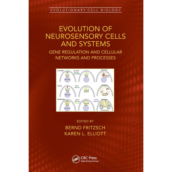 Evolutionary Cell Biology Evolution of Neurosensory Cells and Systems: Gene Regulation and Cellular Networks and Processes, (Paperback)