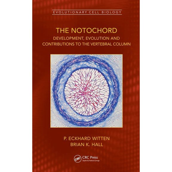Evolutionary Cell Biology The Notochord: Development, Evolution and Contributions to the Vertebral Column, (Hardcover)