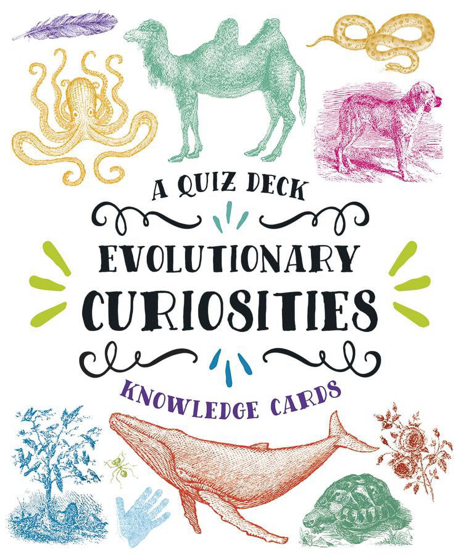 Evolutionary Curiosities Knowledge Cards (Other) - Walmart.com