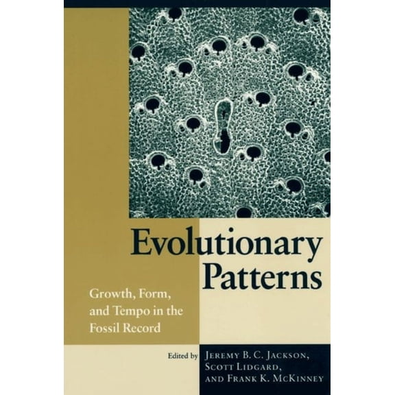 Evolutionary Patterns : Growth, Form, and Tempo in the Fossil Record (Paperback)