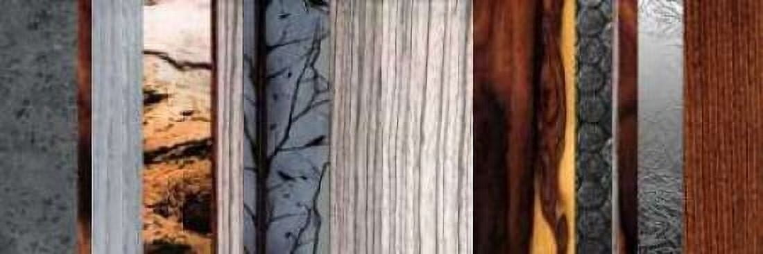 Evolutions I Canvas Art - W Blake (8 x 24)