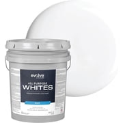 Evolve All-Purpose White Paint, Latex Flat Interior Paint for Walls and Ceilings, Bright White, 5 Gallon