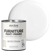 Evolve Ultra Matte Chalk Paint, Eco-Friendly Paint and Primer, Cloud White, 30 fl oz, Pack of 1