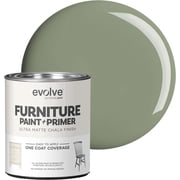 Evolve Ultra Matte Chalk Paint, Eco-Friendly Paint and Primer, Faded Fern, 30 fl oz, Pack of 1
