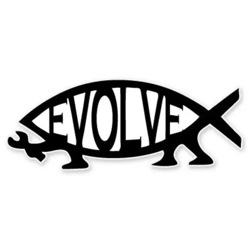 Evolve Fish Evolution Darwin Car Sticker Phone Decal Water Bottle ...