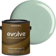 Evolve Latex Paint and Primer, Interior and Exterior Paint, Eggshell Finish, Seafoam Green, 1 Gallon