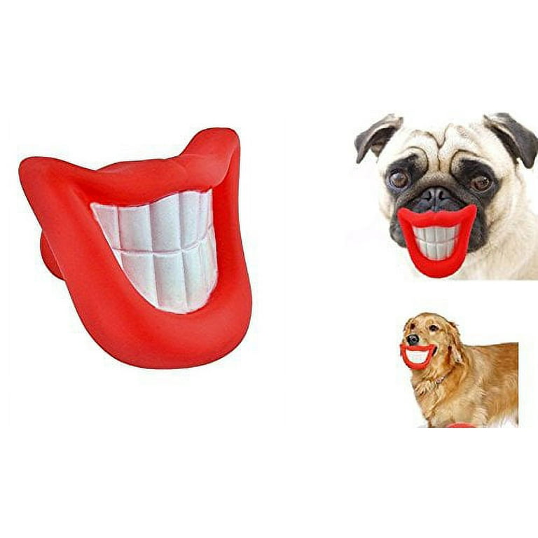 Evri Say Cheeze Smile Dog Toy Walmart