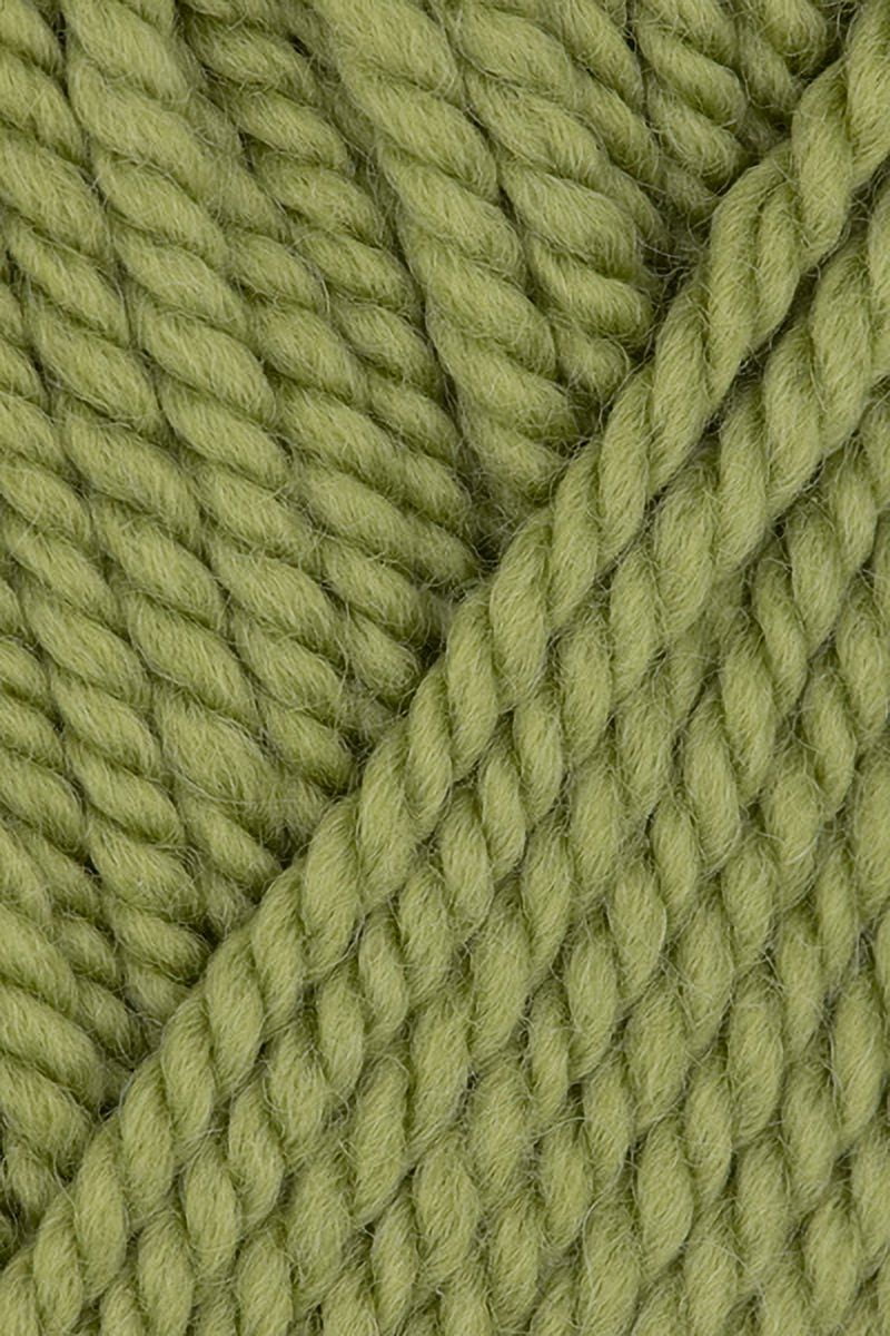 Ewe Ewe - Baa Baa Bulky Knitting Yarn - Pistachio (# 50)